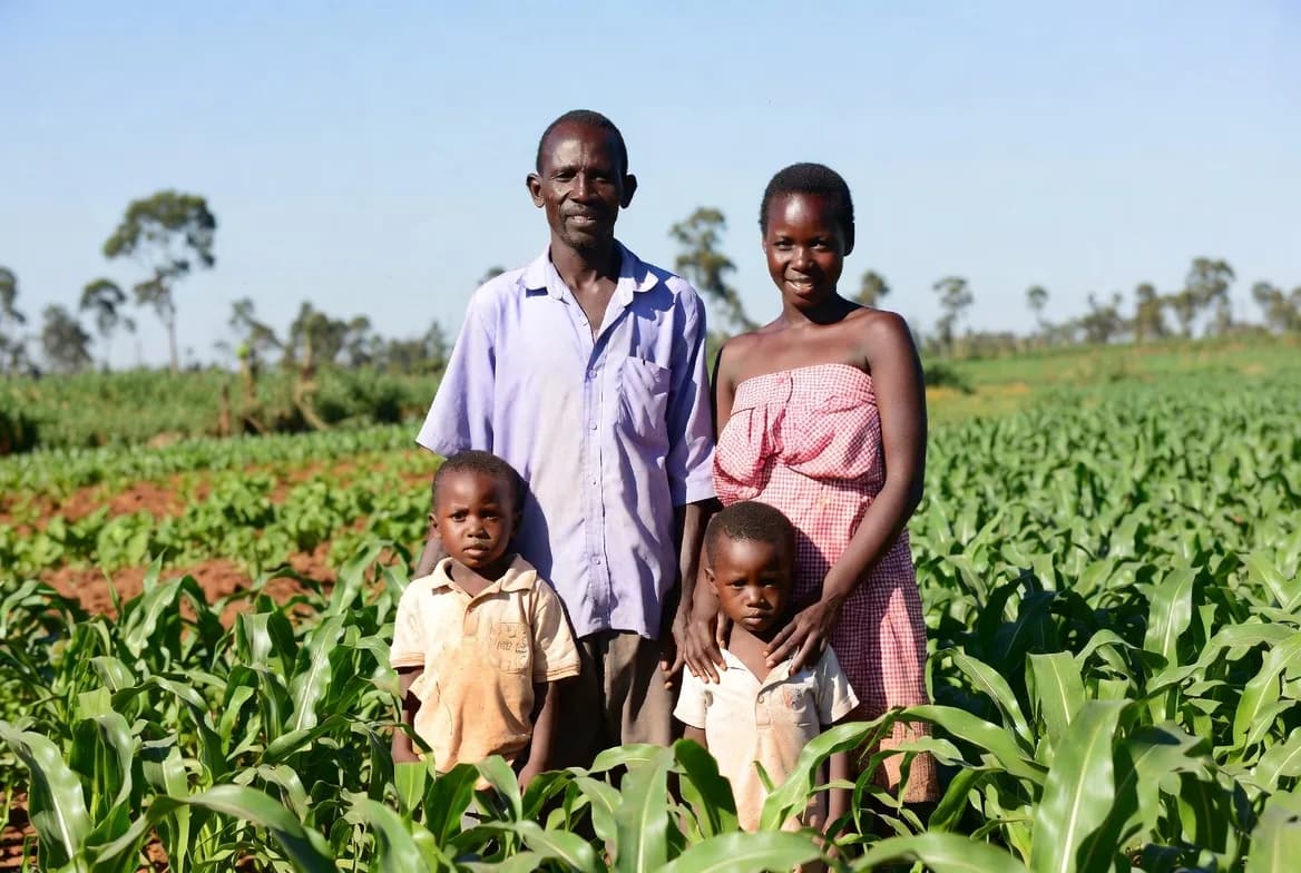 Crop Insurance